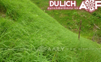 Phượt về Đông Giang, Quảng Nam - 1