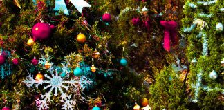 Cách biến ngôi nhà bạn thành thế giới thần tiên mùa đông ngày Giáng sinh - 1