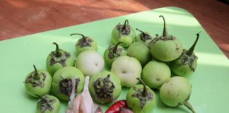 Cách làm cà muối xổi ngon 1