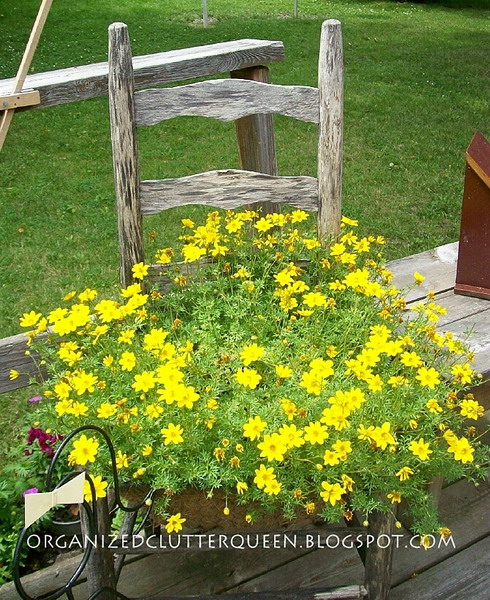 Biến ghế cũ thành bồn hoa rực rỡ | ảnh 24