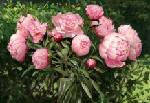 Cách trang trí nhà đón Tết của người Trung Quốc - 1