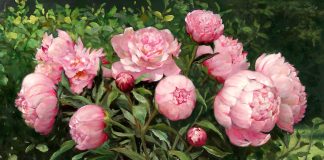 Cách trang trí nhà đón Tết của người Trung Quốc - 1