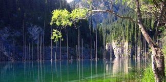 8 khu rừng nổi trên mặt nước tuyệt đẹp - 1