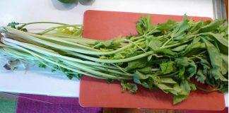 Mỳ xào hải sản cho bữa trưa thơm phức