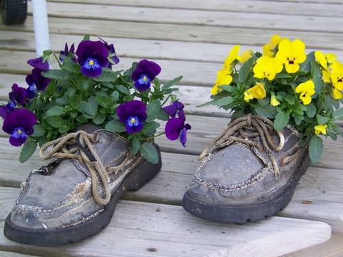 Cách tận dụng giày cũ để... trồng hoa - 24