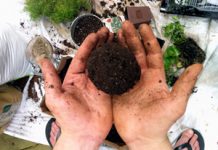 Trồng cây treo đẹp lạ theo phong cách Nhật Bản - Archi