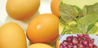 Bài thuốc giải cảm do mưa 1