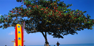 Mùa thu và những trải nghiệm thú vị ở Bali