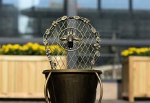 5 mẫu chậu cây cảnh nhìn là muốn 'sắm ngay lập tức' 1