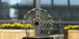 5 mẫu chậu cây cảnh nhìn là muốn 'sắm ngay lập tức' 1