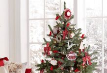 'Tô son điểm phấn' cây thông Noel rực rỡ - 3