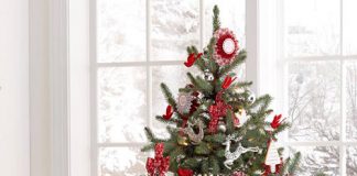 'Tô son điểm phấn' cây thông Noel rực rỡ - 3