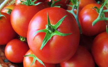 Mách bạn 5 chiêu tránh bị cháy nắng cực thông minh - 1