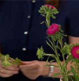 Video: Mẹo giữ hoa tươi lâu, Eva Sành điệu, giu hoa tuoi, cam hoa, meo giu hoa tuoi, meo vat, meo vat cuoc song