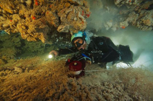 Những hang động kỳ thú dưới đáy biển Bahamas