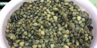 hến xào lá lốt