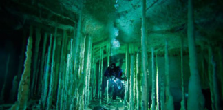 Những hang động kỳ thú dưới đáy biển Bahamas