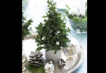 Ý tưởng trang trí trung tâm bàn tiệc Giáng sinh - 1