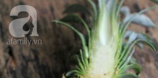 cách-làm-cơm-chiên-kiểu-thái-ngon-hấp-dẫn-bữa-trưa-2