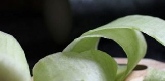 Cách làm bí đao cuộn thịt 1