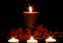 Kinh nghiệm trước khi sử dụng nhà đã để trống lâu - Không Gian Sống - Phong thủy nhà ở