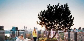 Vườn đẹp trên sân thượng - Archi