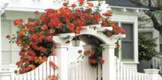 Những mẫu cổng chính đẹp cho nhà thêm xinh 1