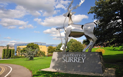 6. University of Surrey