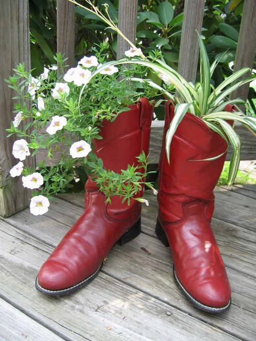 Cách tận dụng giày cũ để... trồng hoa - 9