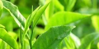 Trị mụn cơm từ nguyên liệu có ngay trong bếp nhà bạn