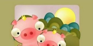 Sự nghiệp của người tuổi Hợi theo cung hoàng đạo - 1