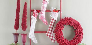 “Cặp đôi hoàn hảo” cho ngày Giáng sinh - 1