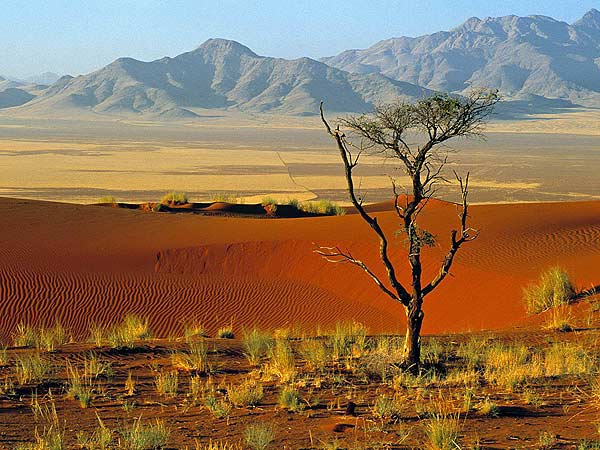 Thưởng thức nắng gió ở sa mạc Namibia - 2