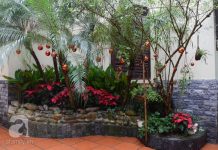 Ngắm căn nhà ngập tràn không khí Giáng sinh ở Hà Nội - 1