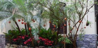 Ngắm căn nhà ngập tràn không khí Giáng sinh ở Hà Nội - 1