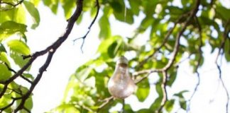 5-san-pham-handmade-trang-tri-nha-tu-bong-den-cu-1