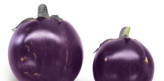 Món chay cà tím kho đậu hủ - 1