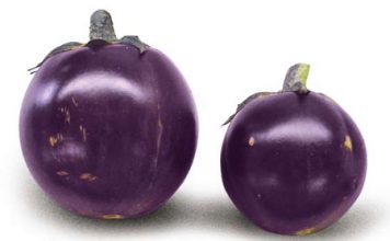 Món chay cà tím kho đậu hủ - 1