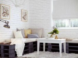 Bài trí bonsai cho không gian hiện đại