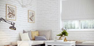 Bài trí bonsai cho không gian hiện đại