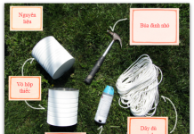 Làm 'vườn treo' mini cực nhanh