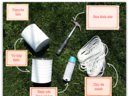 Làm 'vườn treo' mini cực nhanh