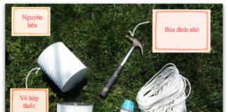 Làm 'vườn treo' mini cực nhanh