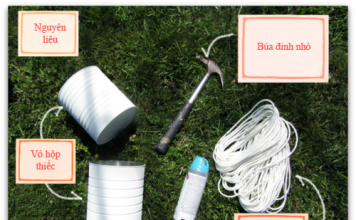 Làm 'vườn treo' mini cực nhanh