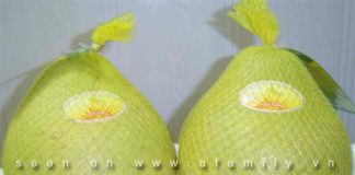 Hướng dẫn công dụng tuyệt vời của trái bưởi - 1