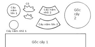 May gốc cây ngộ nghĩnh từ vải dạ - 1