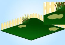 Muỗi trong nhà và cách diệt muỗi trong nhà - 1