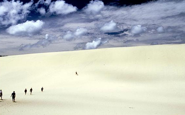 Mount Tempest được coi là cồn cát ven biển cao nhất trên trái đất. 
