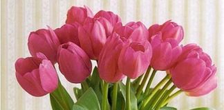 Mẫu cắm hoa Tết đẹp rước may mắn tài lộc đến nhà