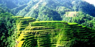 Ruộng bậc thang Banaue